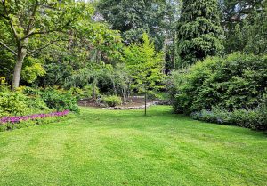 Optimiser l'expérience du jardin à Baudinard-sur-Verdon